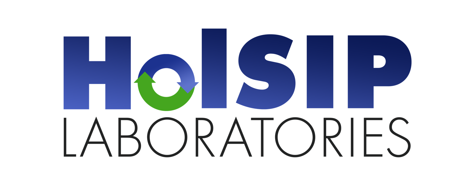 HOLSIP%20LOGO